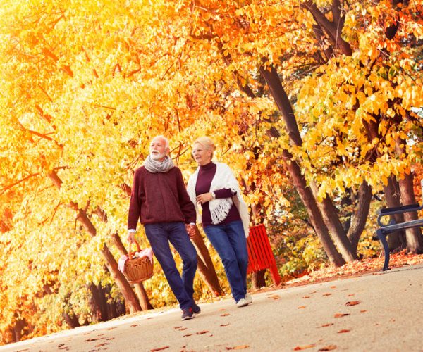 Senior couple strolling during Autumn