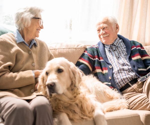 Cheerful Senior Couple at Home